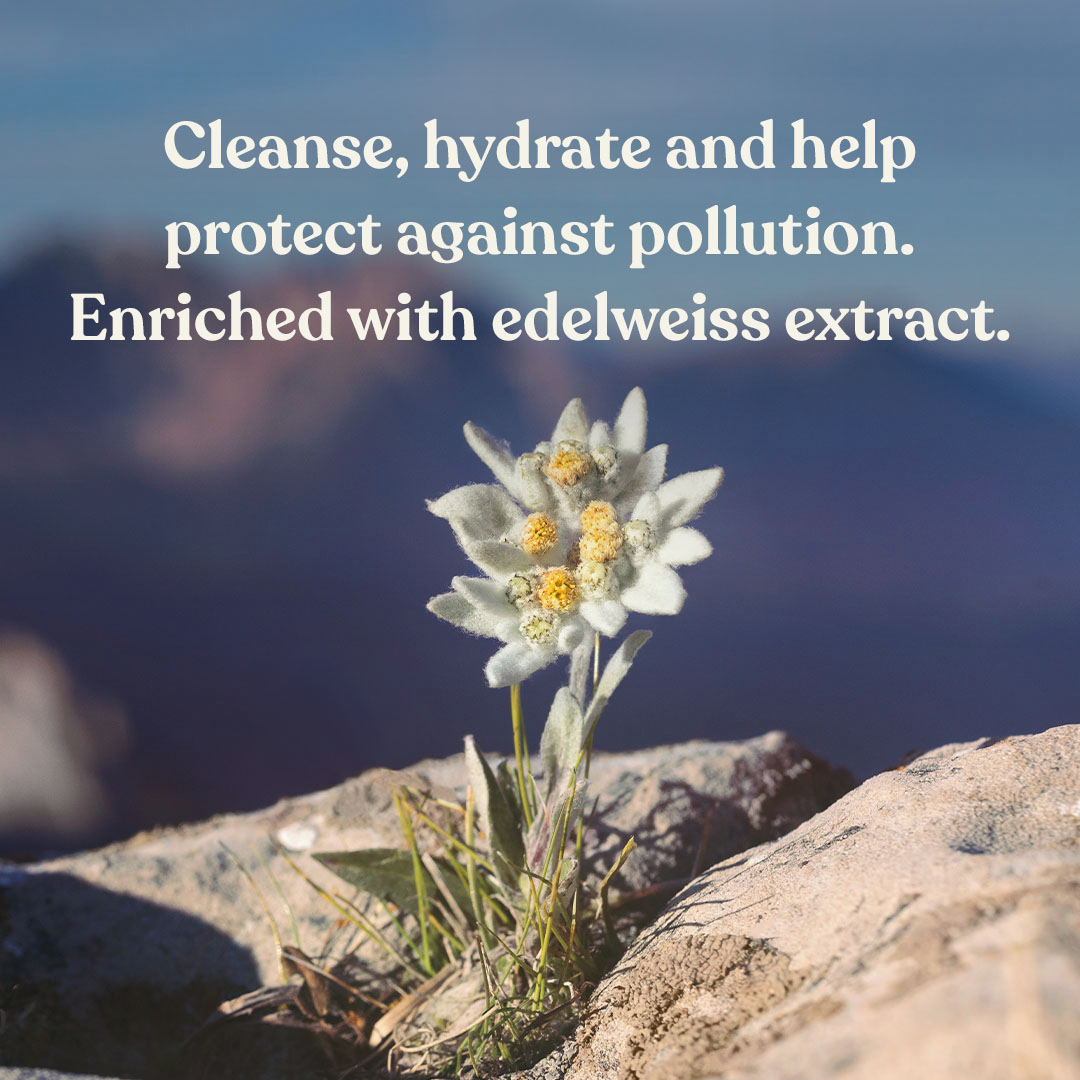 TheBodyShopIND's tweet photo. Who knew a tiny flower could help you build up #Resilience for the skin everyday? Try our supercharged routine from the newly launched transversal range of #Edelweiss.
Shop now: https://t.co/aAZuEtwHr6
#EdelweissPower #NewLaunch #FlowerPower #SkinCare #Vegan #SkinCareRoutine https://t.co/XrJyn1qVWN