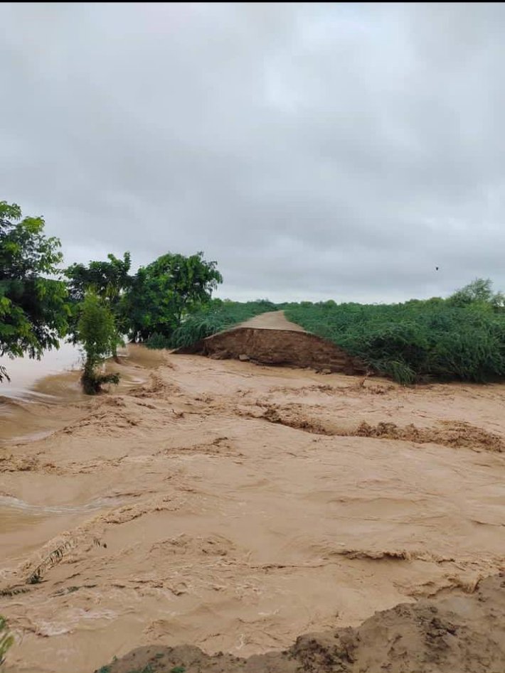 nawt_cool's tweet photo. Taunsa is flooded and sadly there's no media coverage due to political crisis 
#TaunsaNeedsAttention https://t.co/hCnDq7HVtF