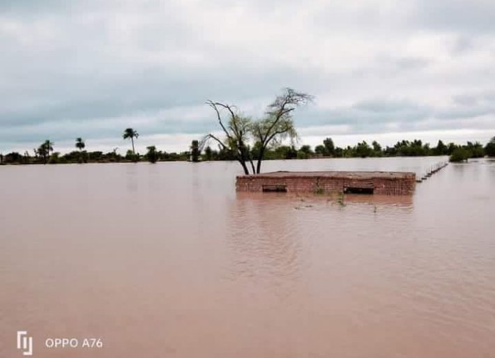 nawt_cool's tweet photo. Taunsa is flooded and sadly there's no media coverage due to political crisis 
#TaunsaNeedsAttention https://t.co/hCnDq7HVtF