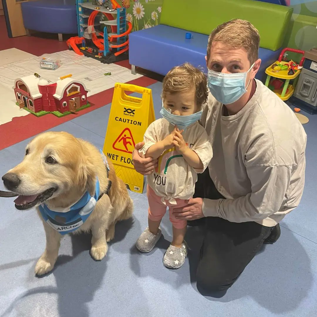 JNeuroblastoma's tweet photo. Back in Southampton for another day of Nivolumab and strokes with Archie the therapy dog.
https://t.co/KJCwix5yj3
#ChildhoodCancer #neuroblastoma
#Jessicasjourneywith #Solvingkidscancer #Southampton #EdSheeran #TheDarkness #Suffolk #itv #bbcnews #ThisMorning https://t.co/udsSoKfDnr