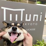 ツイートに含まれる画像