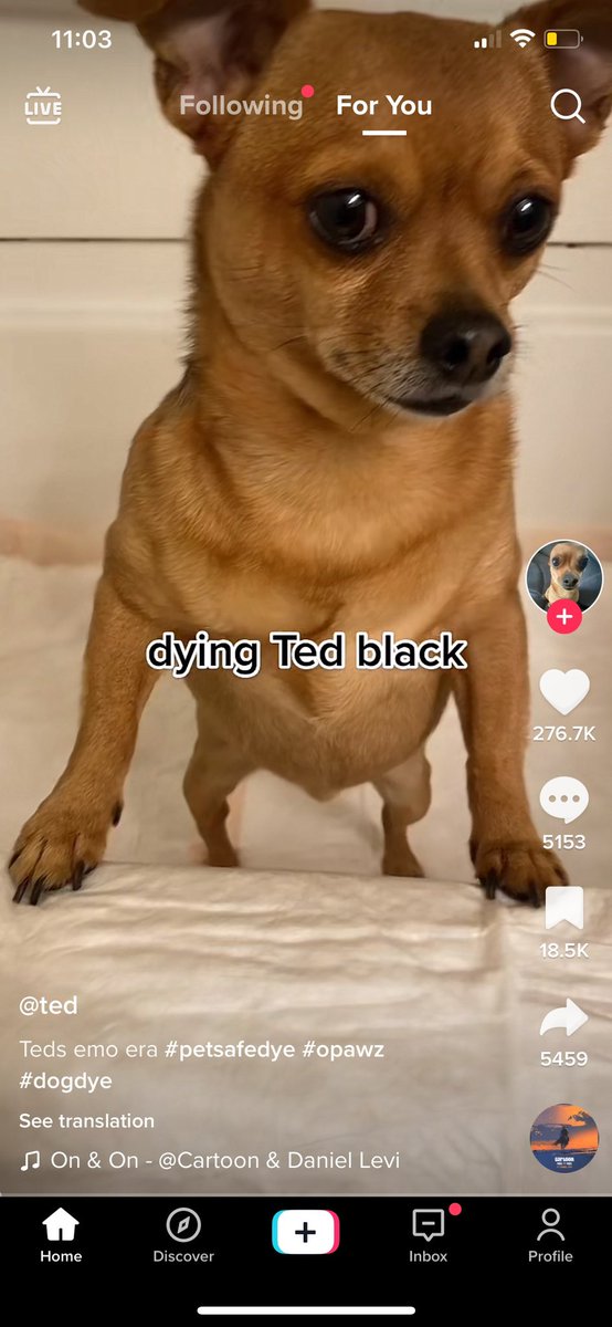 _Automaticmojo's tweet image. 🤨