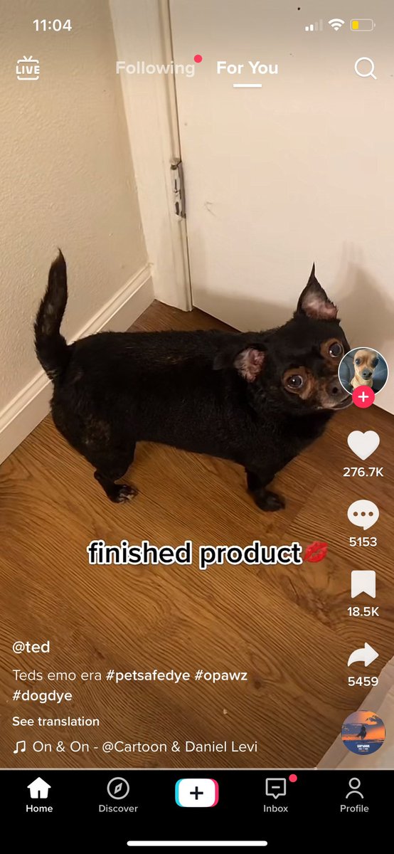 _Automaticmojo's tweet image. 🤨