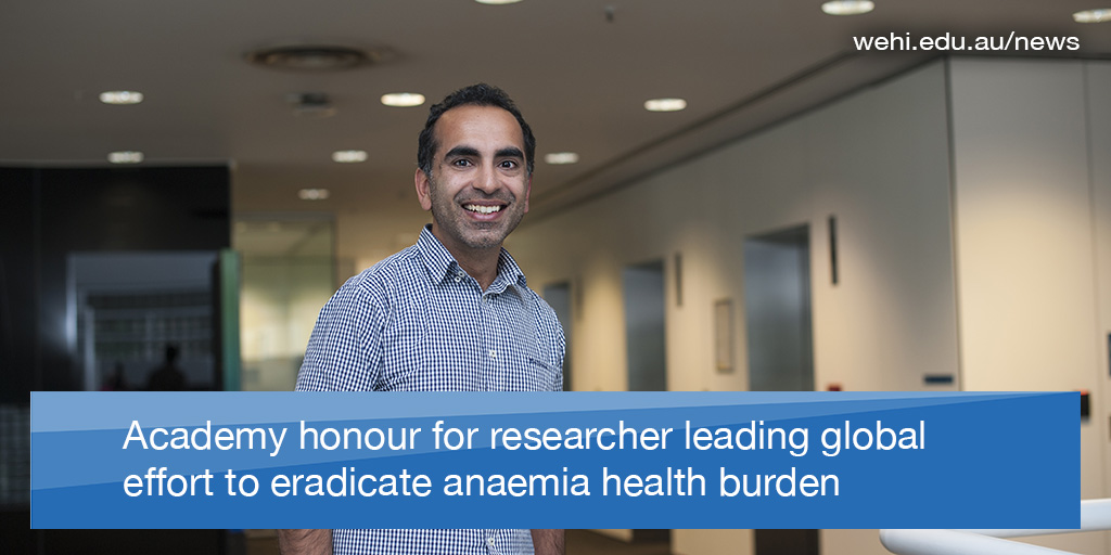 WEHI_research's tweet photo. Prof Pasricha leads one of the largest international trials for iron-deficient children and pregnant women, helping @WHO in its efforts to halve the global prevalence of anaemia by 2025. #HealthBurden #LowIron #ScienceWeek #FightingAnaemia 

@UniMelb @icddr_b  @chancounima https://t.co/woSFUnTnSy