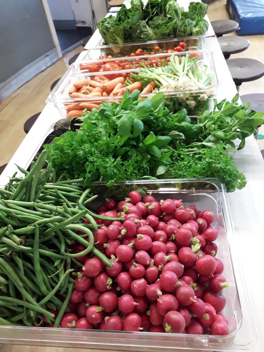 Edible Rotherhithe (@ediblese16) on Twitter photo Fantastic feedback from a <a href="/SurreySqSchool/">Surrey Square School</a> family who had so much fun making the take home salads together 🥬🍅🍊🍏 Thank you <a href="/PeasPleaseUK/">Peas Please</a> <a href="/Food_Foundation/">The Food Foundation</a> #vegadvocate
#newskills
#HealthyEating
#enjoyment
#community
#Wellbeing
<a href="/4in10/">4in10 - London's Child Poverty Network</a>
<a href="/IncEdibleUK/">Incredible Edible UK</a>
<a href="/VegPowerUK/">Veg Power</a>
<a href="/VegCities/">VegCities</a> Fantastic feedback from a <a href="/SurreySqSchool/">Surrey Square School</a> family who had so much fun making the take home salads together 🥬🍅🍊🍏 Thank you <a href="/PeasPleaseUK/">Peas Please</a> <a href="/Food_Foundation/">The Food Foundation</a> #vegadvocate
#newskills
#HealthyEating
#enjoyment
#community
#Wellbeing
<a href="/4in10/">4in10 - London's Child Poverty Network</a>
<a href="/IncEdibleUK/">Incredible Edible UK</a>
<a href="/VegPowerUK/">Veg Power</a>
<a href="/VegCities/">VegCities</a>