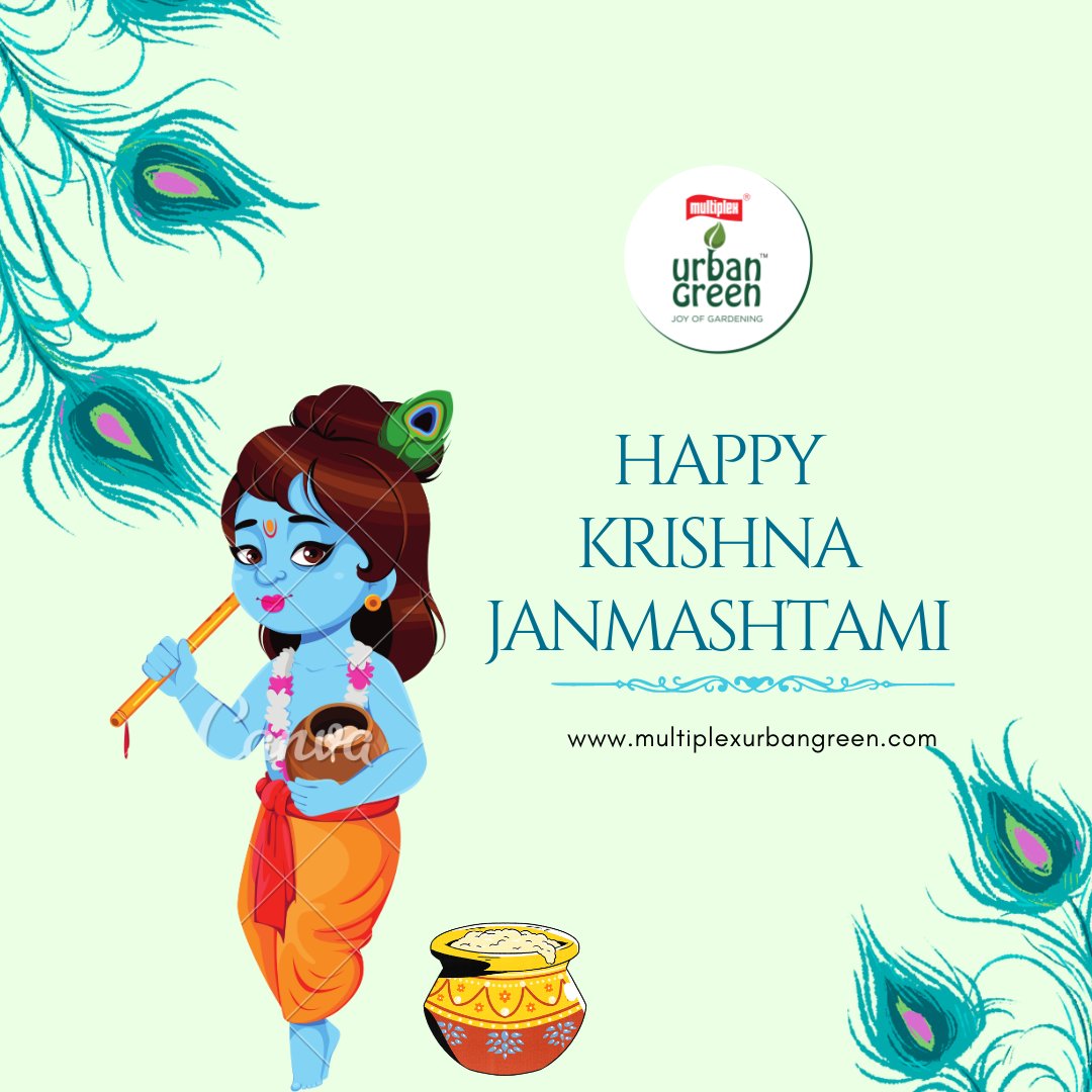 UrbanGreenIndia's tweet photo. Happy Janmashtami
#growgreen #Janmashtami2022 https://t.co/uaphqvhWnl