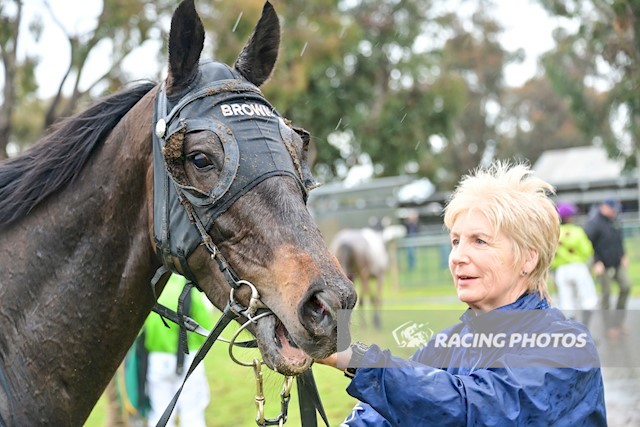 Seymour Racing Club (@seymourrc) on Twitter photo Congratulations to the team at Stephen Brown Racing on the impressive win of Egyptian Wonder <a href="/EchucaRaceClub/">Echuca Racing Club</a> today. #seymourtrainers #countryracing Congratulations to the team at Stephen Brown Racing on the impressive win of Egyptian Wonder <a href="/EchucaRaceClub/">Echuca Racing Club</a> today. #seymourtrainers #countryracing