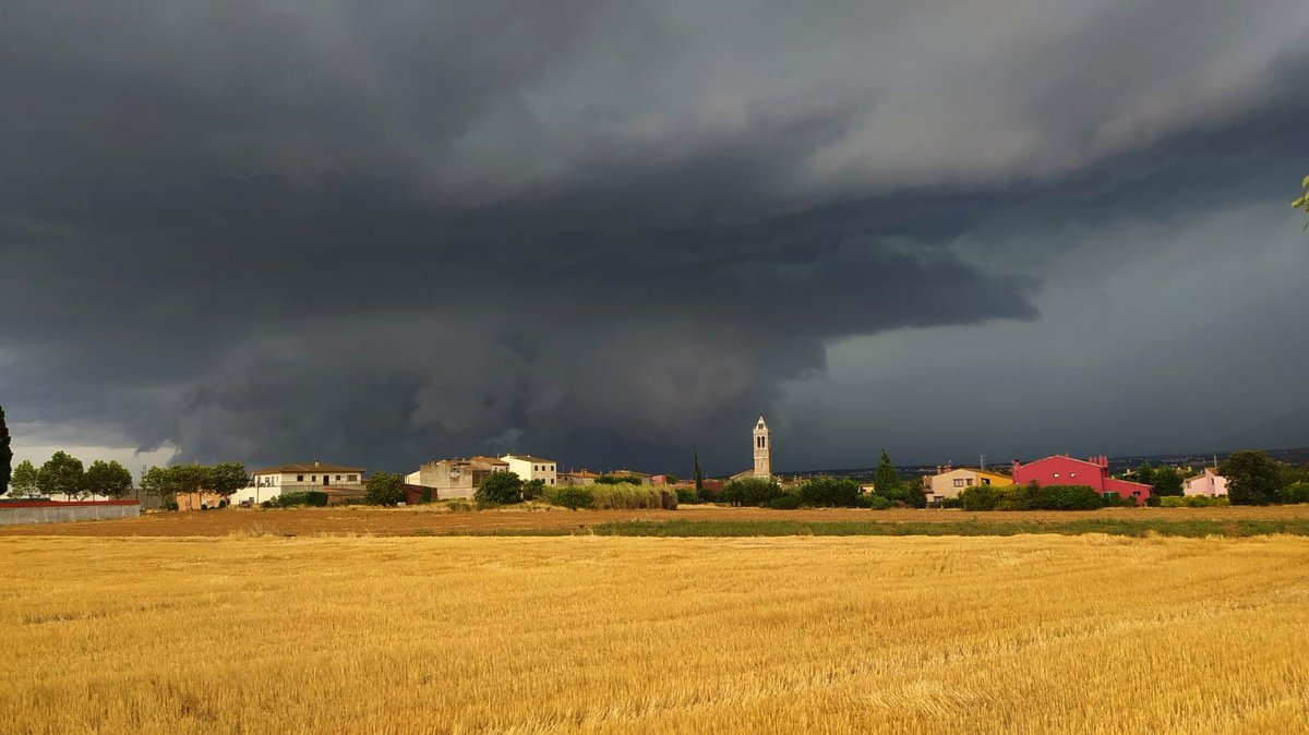 3CatInfo tweet media