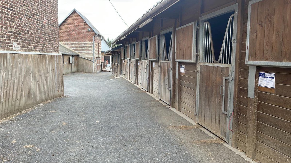 Cheval Sport Élite tweet media