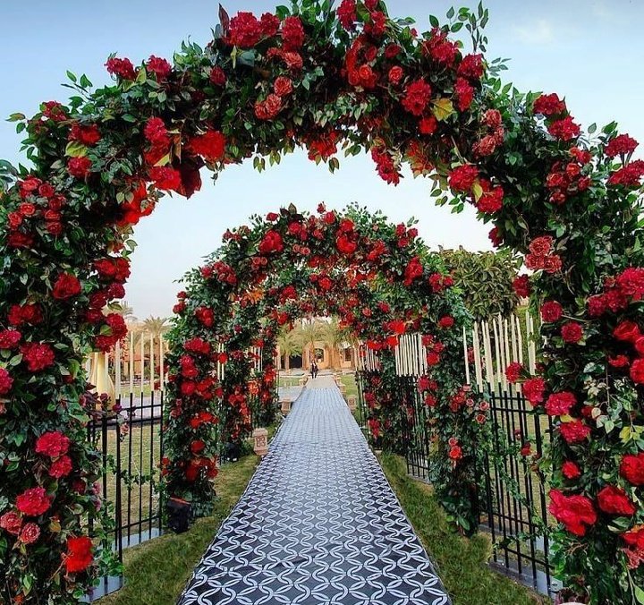 words_1111's tweet photo. God does not want to throw anyone into hell. He is generous and his forgiveness is wide. Anyone who believes in the One God and does not insist on sin can go to heaven.
#Alllah #God #Faith #Prophet #LastProphetMuhammad https://t.co/pf27oq9uIU