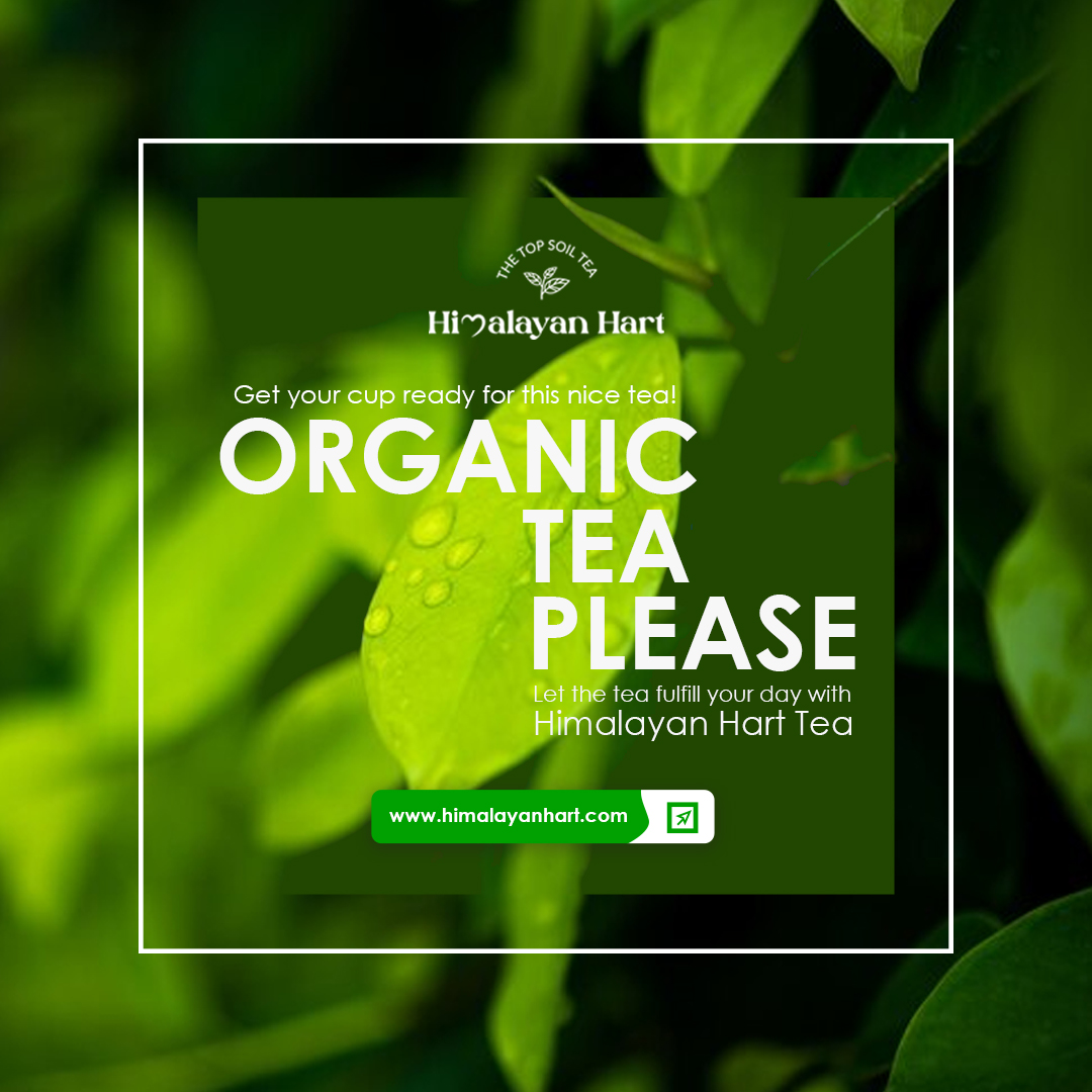 himalayanhart's tweet photo. Tea is the magic key to the vault where my brain is kept.☕🫖🌿
#tea #reminder #quotesoftheday #happiness #darjeelingtea #darjeeling_diaries #darjeelingtimes💕 #darjeeling #greentea #blacktea #whitetea #smallbusinessowner #smallbusiness #ukbusiness #uktea #usabusiness #usatea https://t.co/UqQm7gaSp0