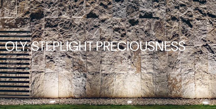 LewdenLux's tweet photo. Design and performance. The refined and revisited design of this outdoor steplight makes it even more captivating. Spot LED with different diameters and optics to satisfy every application need. It can be easily installed in the ground using the appropriate outer casing. https://t.co/FIIFcanHoN