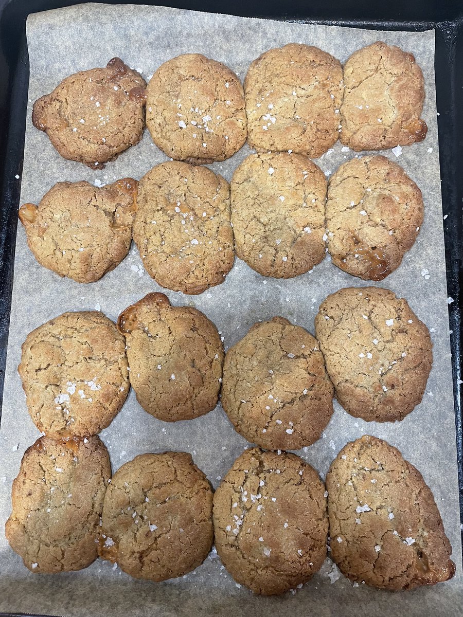 Meredith Peddie tweet media