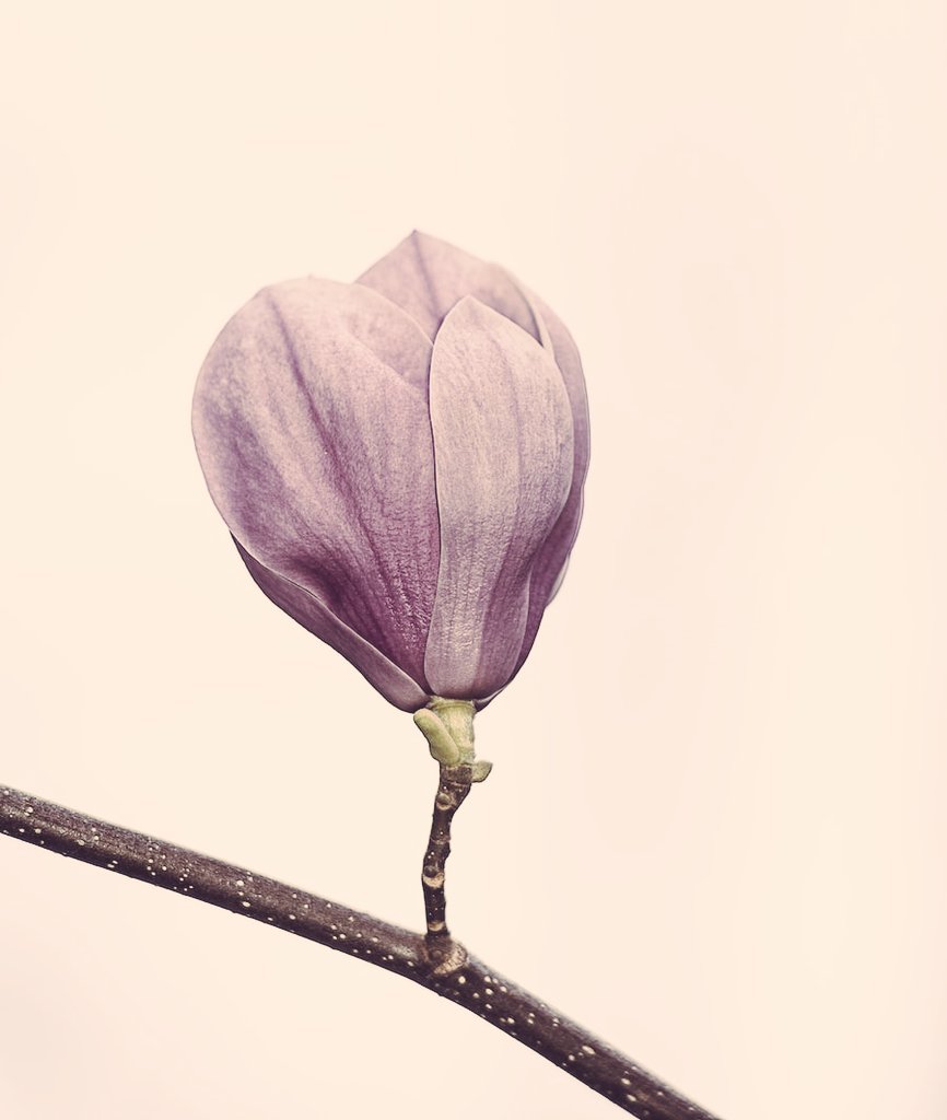 Yâr dedi lütfum ferâvan var mı ona müstehak
Ben dedim ihsânını yâr arzu-mendim her şafak

|Hüznî

*feravan: çok, bol