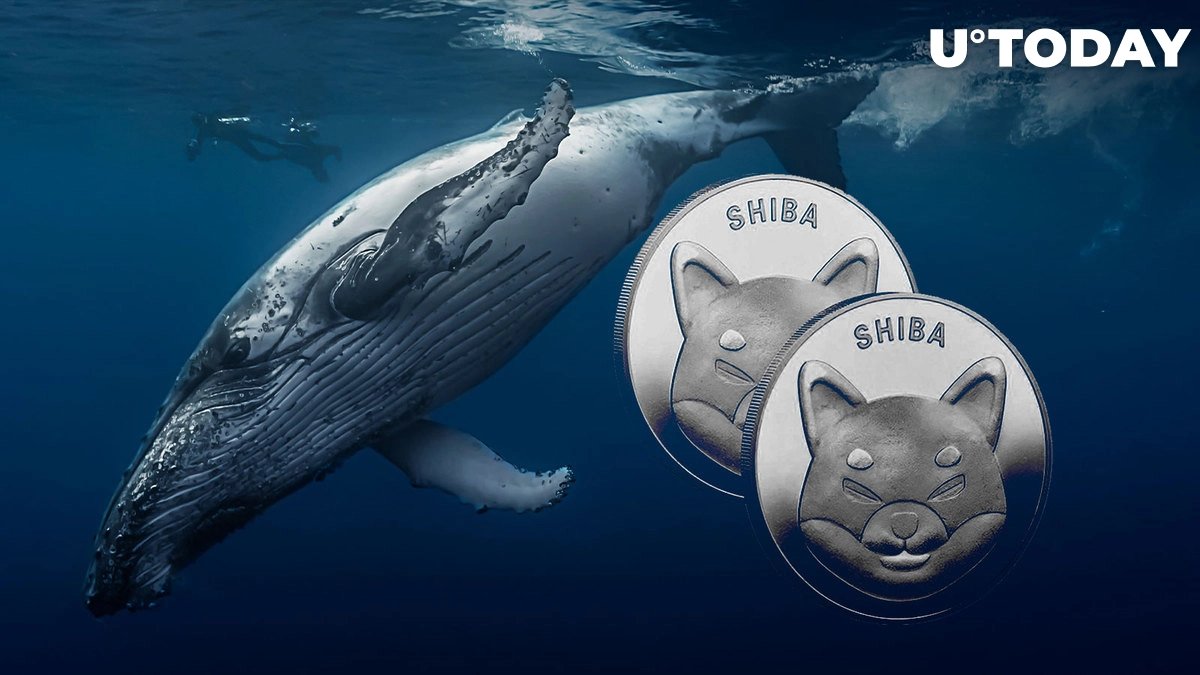 $193 Million in SHIB End up in Whales' Wallets as They Increase Holdings

#shibainu
#SHIB #shiba #SHIBARMY #SHIBARMYSTRONG
