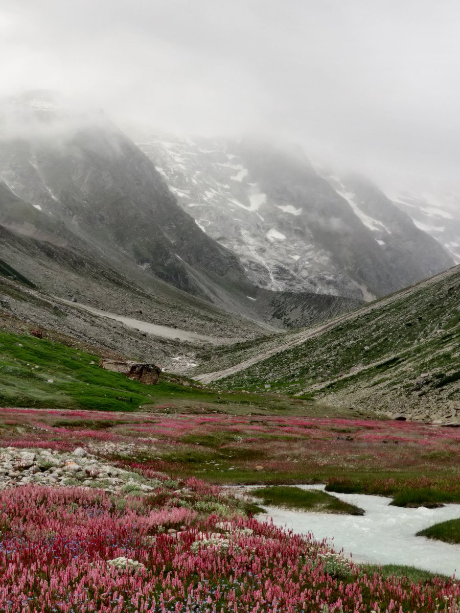 travelwitheth's tweet photo. Another gem of Garhwal Himalayas in Uttarakhand, Kyarkoti trek will leave you spell bound with its forests, lake and majestic views of the mountains! Kyarkoti is an alpine meadow in Harsil Valley of Uttarakhand. It is a 17km trek from the village Harsil. https://t.co/c2RpNX2XXk