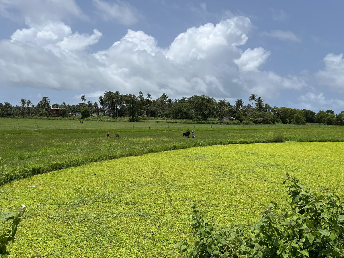 The landscape is beautiful ❤️ ….. to people who say we can’t replicate the whole existence in the #metaverse 100% agree…

But can it transform how humans connect ? .. Yes it would significantly.. #Web3