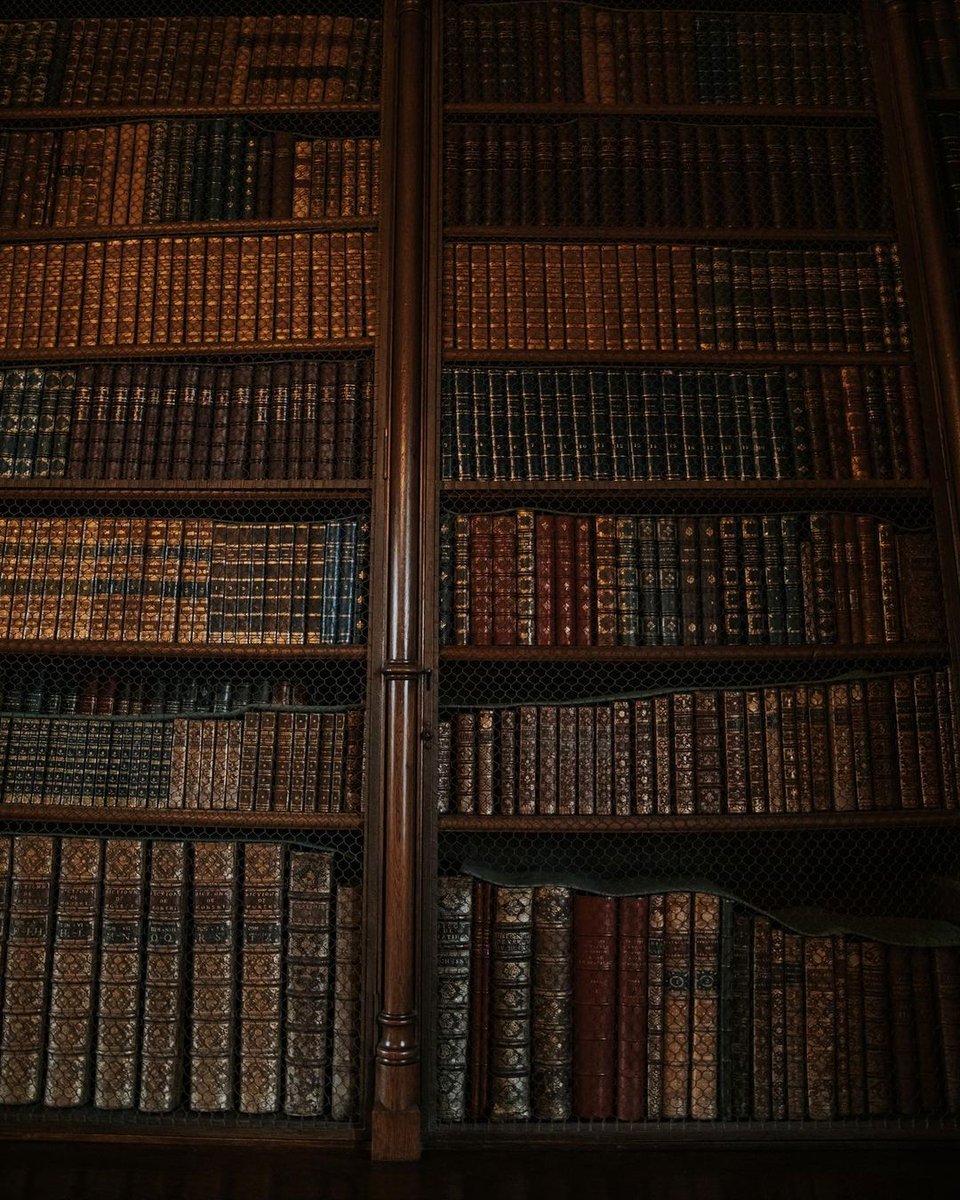 AcademiaDreams's tweet image. ig: opheliesz