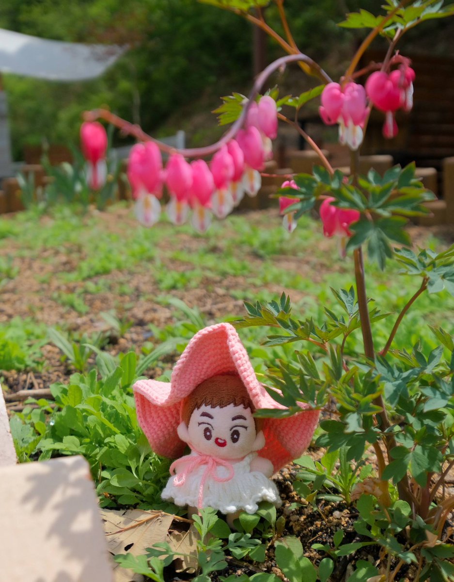 minguri_snap's tweet photo. 요뎡님 곧 등쟝...☆ https://t.co/cWKxZz1T6l