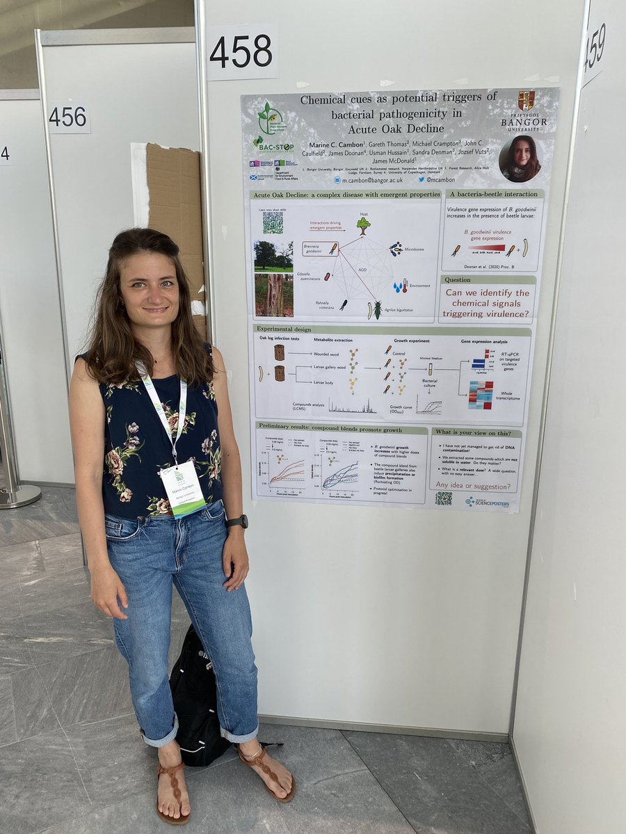 jamesemcdonald's tweet photo. If you’re at #ISME18 and are Interested in insect-microbe-host interactions and how insect/host chemical cues may trigger bacterial pathogenicity in oak decline? Visit @marine_cambon ‘s poster (IPS19.458) today! https://t.co/MkGzK29Krn