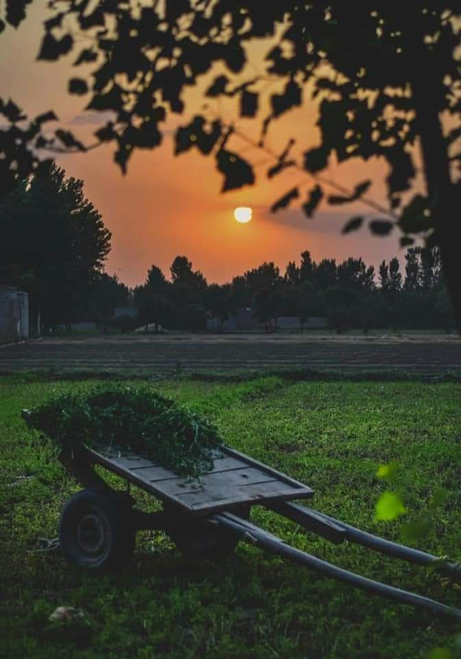 نئے سِرے سے جَل اُٹھی ھے ، پِھر پرانی آگ
عجب لُطف ، تُجھے بُھولنے میں آیا ھے