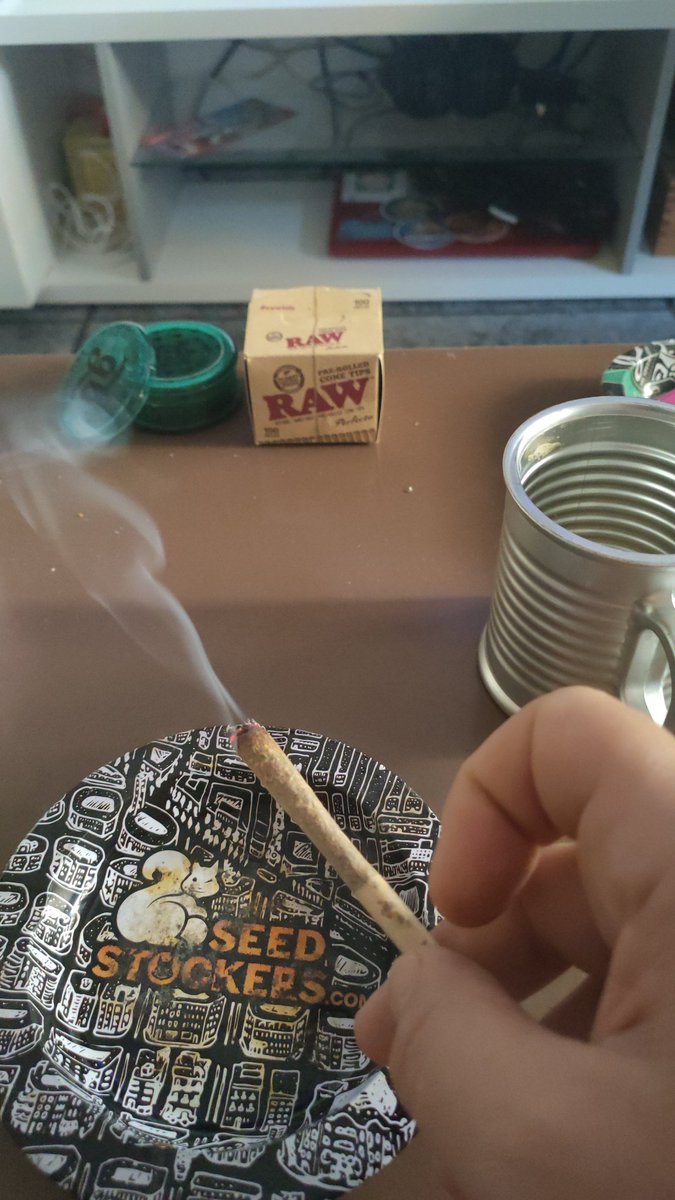 fullbikers's tweet photo. Buenos dias por la mañana, empieza el frequito mañanero en Valencia y eso es para estar contento asi que me voy a fumar un truja de #hypro con #lemonkushmint asi como para desmayarme por la mañana 😂🙄 https://t.co/jaQ1bivtyK