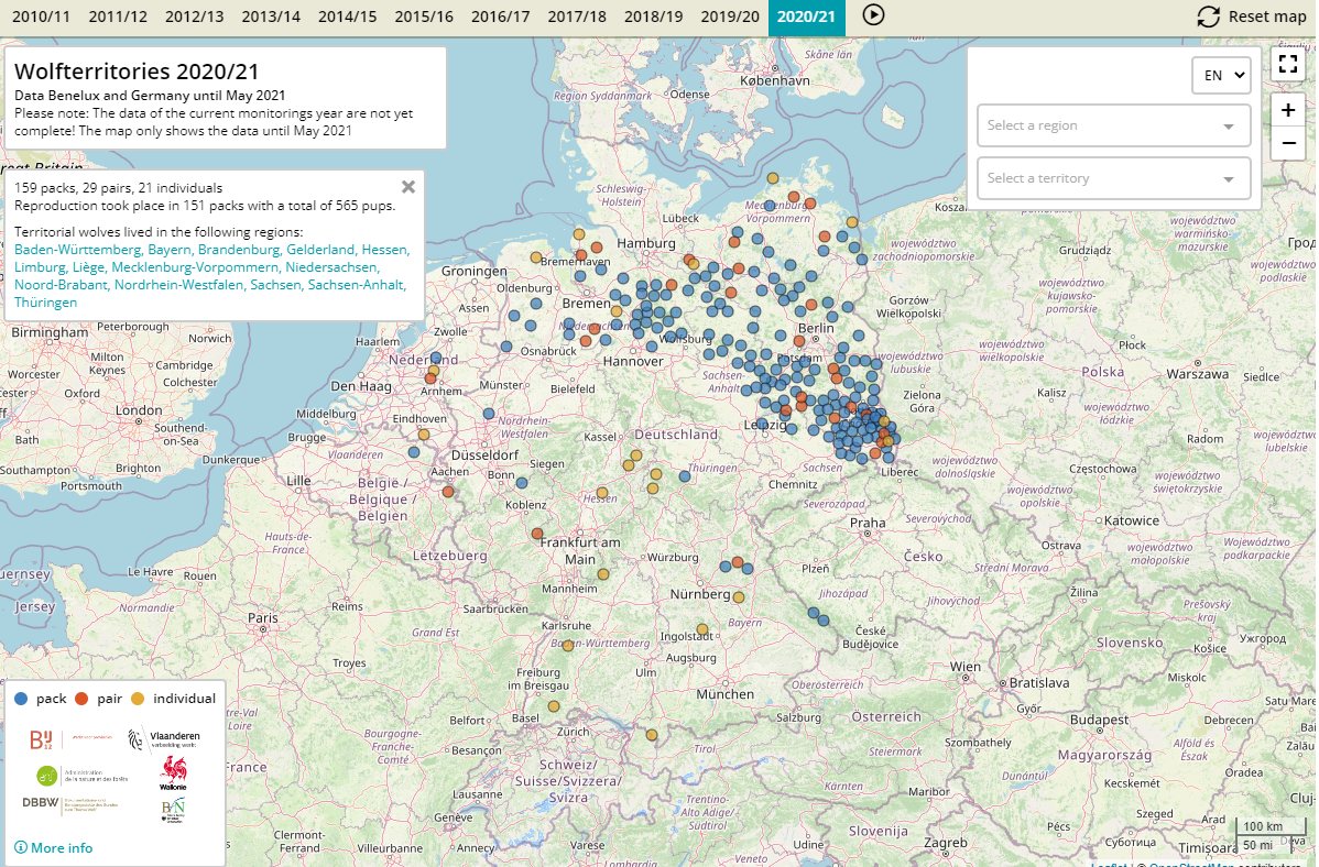 Nice animated map of the recent #wolf expansion in Germany and Benelux 
#loup
#réseauLoup  via @Wallonie_SPW 
biodiversite.wallonie.be/fr/les-loups-b…