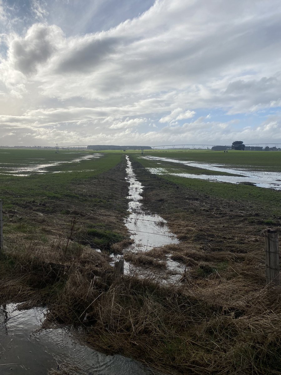 Robbie Tole tweet media