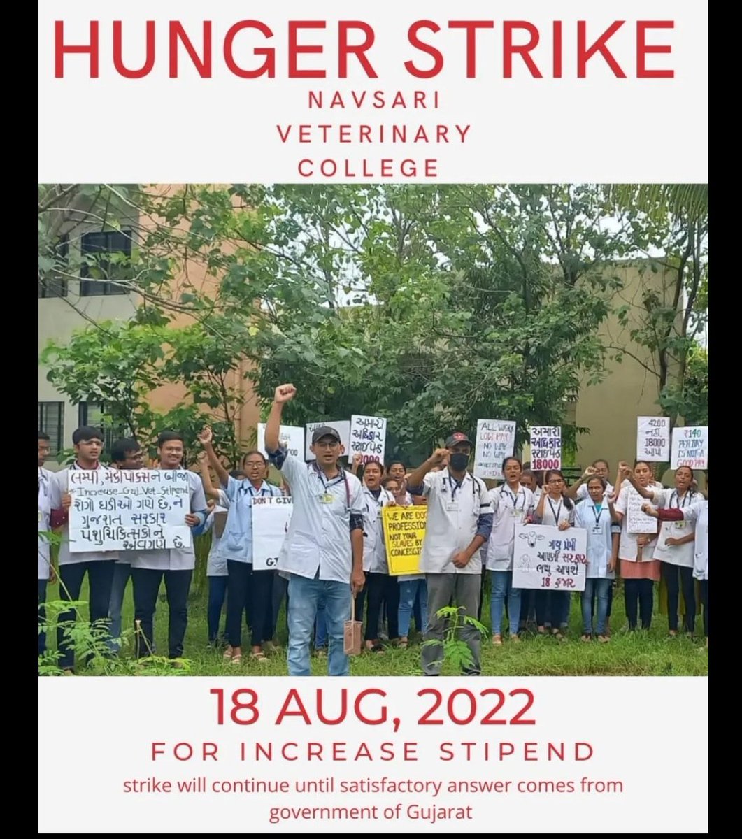 #navsari
#hungerstrike
Please support Guj vets warriors 🙏
#Guj_vet_union #Increase_Guj_Vet_Stipend #Guj_veterinary_students_on_strike
#Increase_Guj_Vet_Stipend_18k
<a href="/CMOGuj/">CMO Gujarat</a> <a href="/Bhupendrapbjp/">Bhupendra Patel</a>
<a href="/RaghavjiPatel/">Raghavji Patel</a> <a href="/KanuDesai180/">Kanu Desai</a>
<a href="/News18Guj/">News18Gujarati</a> <a href="/tv9gujarati/">Tv9 Gujarati</a>
<a href="/sandeshnews/">Sandesh</a> <a href="/abpasmitatv/">ABP Asmita</a>