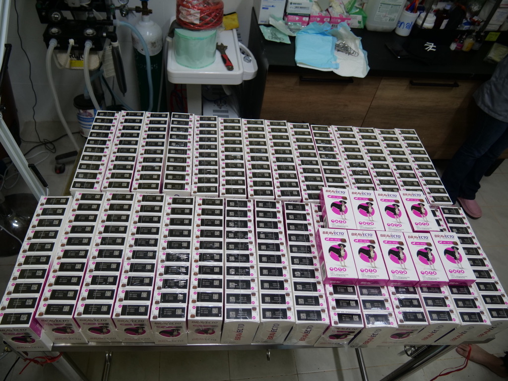 tmtrdorg's tweet photo. It’s again time to treat our dogs with Bravecto. This medication prevents fleas and ticks as well as curing mange in only one treatment. It is long lasting and absolutely necessary for the 1080 dogs in our care. 
We are seeking to raise $6700 USD for this important medication https://t.co/UmMLMaQ8M5