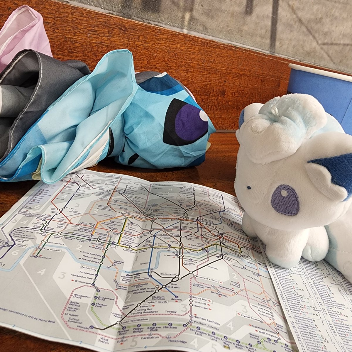 Faye at Worlds #poketravel tweet media