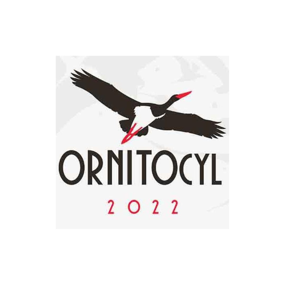 VeneroClaro's tweet photo. Desde Venero Claro queremos agradecer a @ornitocyl, Feria de #Ornitología de Castilla y León, la colaboración con nosotros en los talleres #medioambientales. ¡Muchas gracias! 👏​ 

Se encuentran en:
📍​ La Cañada, Ávila
💻 https://t.co/1hQbjY6gn7 https://t.co/bveENUCa3j