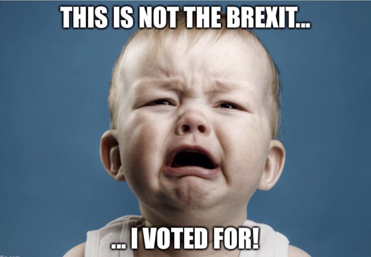 BrexitBuster's tweet photo. @MarieAnnUK Energy bills, power cuts, water shortages, spiralling inflation, empty supermarket shelves, chemists out of essential medicines, fish rotting at ports, imports plummeting, more UK businesses going bust every day. Get ready for lots more Brexit tears.
#BrexitTears #BrexitReality https://t.co/kIeKIwJB0n