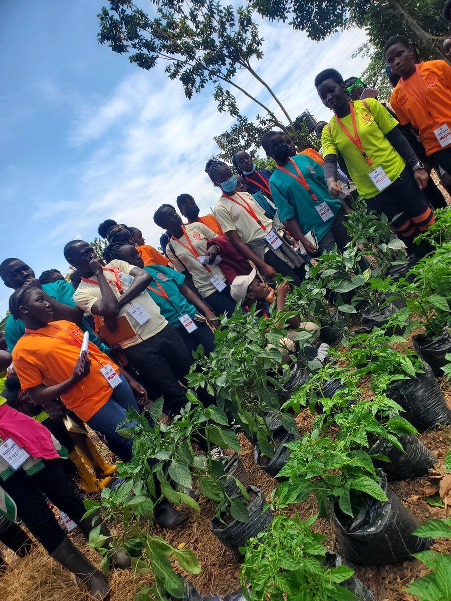 SandraNabasirye's tweet photo. Over the weekend we hosted young aspiring farmers from Gayaza High school at our Nabbingo Farm for their 8th annual farm camp.

Its always a glorious feeling for me whenever i share knowledge and experience with young people https://t.co/fcP5Gwpf1I