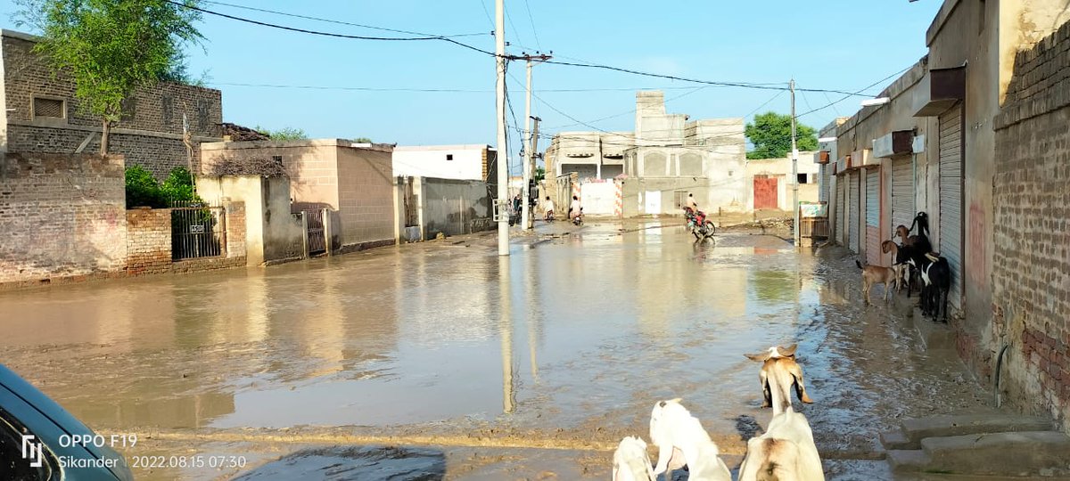 2k13msajjad3229's tweet photo. It's time to get up for your right... No need of politics or bashan ... Just need real work ... Help the effected people
#TaunsaNeedsAttention https://t.co/HHectTH9tM