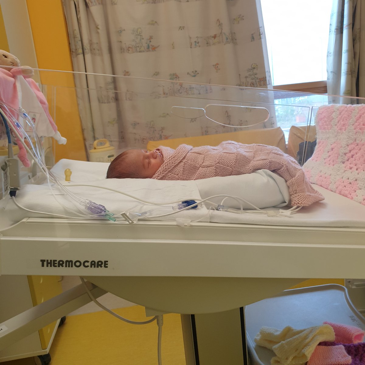 🏥 Alder Hey 💙 tweet media