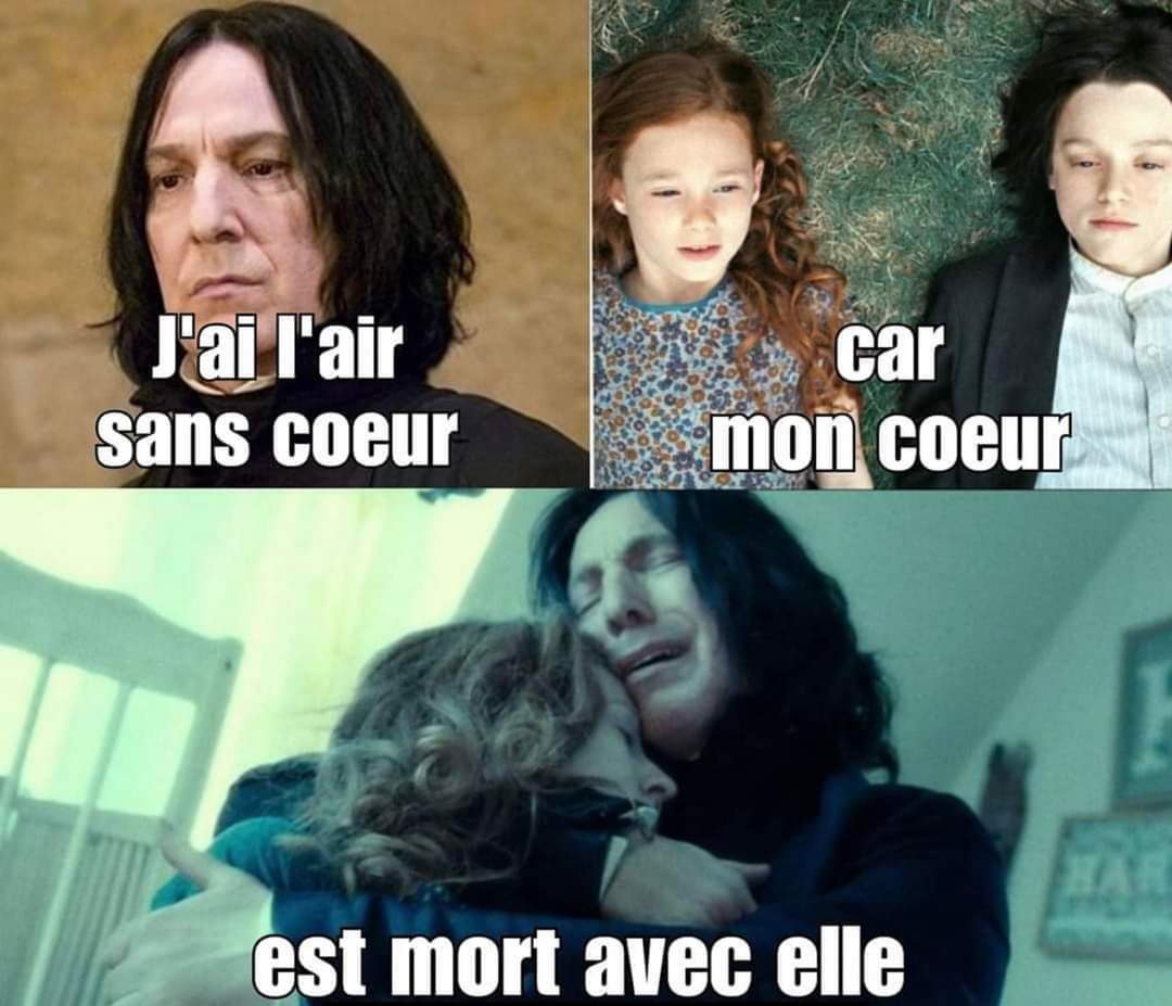 SnapeMikaela's tweet photo. @PrincedeSMOff on te comprend mieux maintenant 🖤 https://t.co/xv2LyHBCpK