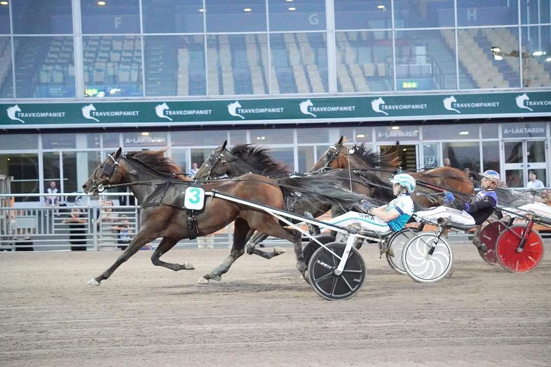 Joe_Zagari's tweet photo. #HoneyMearas 🇸🇪 #ReadlyExpress won #PrixMaharajah - #EuropeanChampionshipMares 2022 🏆#Group 1️⃣ - Sulky - 2140 - 5+ years old - Sek 2.000.000 - @Solvalla 🏟️🇸🇪 with #OrjanKihlstrom & #DanielRedén @stallzet ⏱ 1.10.6 on 2140 over #Sayonara and #ZeudiAmg
#JubileumspokalenDay https://t.co/GSeDlh8tFx