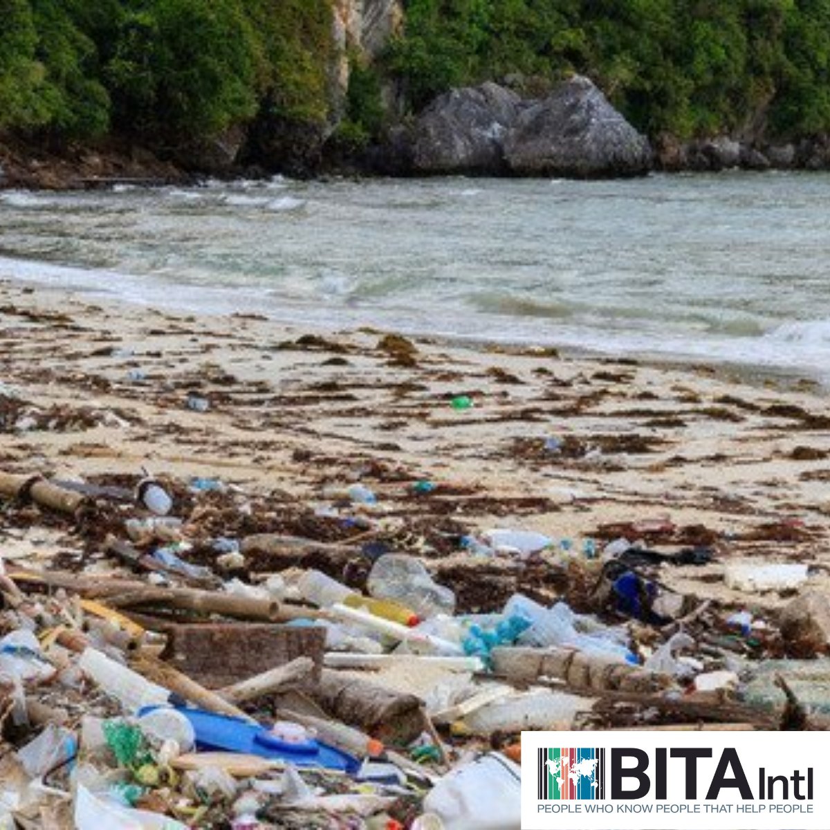 BITAIntl's tweet photo. BITA are striving to #beplasticaware as part of our global forum led by @brendonkenny This initiative is established Global Forum to increase awareness of the impact of plastic pollution across the world.
Read more here: https://t.co/LS7fQLMFaH
#plastics #BITA https://t.co/4LGoIqPiRe