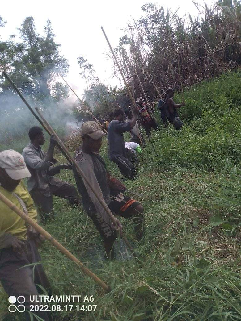 StevenR12344061's tweet photo. Crocodile hunting in Sepik River swampland in PNG where my wife comes from &amp; her mother still lives It is fresh water but they are salt water crocs &amp; they have learned to co exist with the Crocs My wifes grandfather was the village chief &amp; brother of the river god (the Crocodile) https://t.co/7iuiGmScvs
