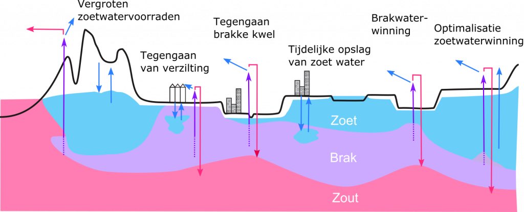 Na jaren strijd tegen teveel water, heeft NL nu ook innovatie nodig voor het vasthouden van zoetwater bij #droogte. Kennisprogramma COASTAR werkt aan oplossingen om brak grondwater en regenwater slimmer te gebruiken. Watermanagement nieuwe stijl met <a href="/TsWaterMaritiem/">Water & Maritime</a> en <a href="/deltares/">Deltares</a>
