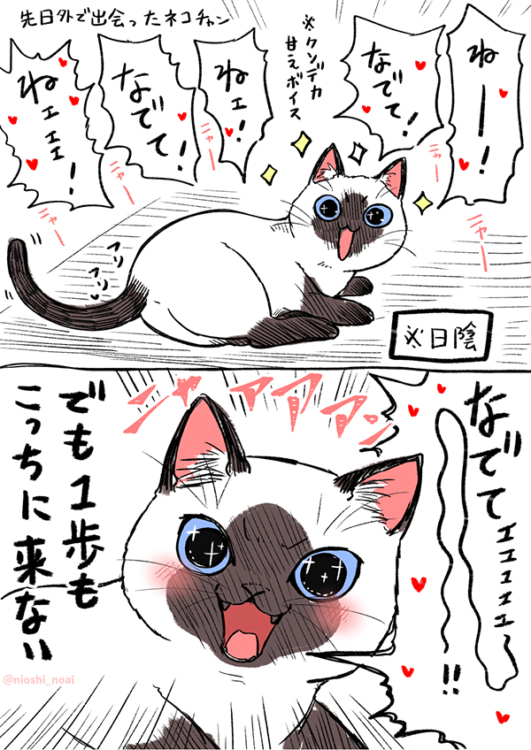 甘え方が尋常じゃない猫、だけど…? 行動に「あるあるー!」「うちの子かな?」 https://t.co/LyyBy9Nz5l @grapeejpより 