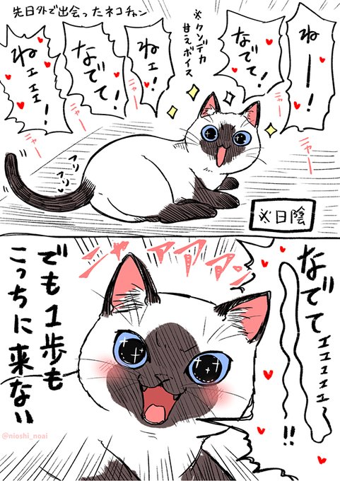 甘え方が尋常じゃない猫、だけど…? 行動に「あるあるー!」「うちの子かな?」 https://t.co/LyyBy9Nz5l @grapeejpより 