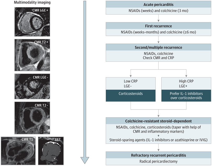 SeguraCardio's tweet photo. 📌Advances in Imaging &amp; Targeted Therapies for Recurrent #Pericarditis  

Excellent #Review at @JAMACardio
#CardioEd #CardioTwitter #EchoFirst #WhyCMR https://t.co/VJc14sZbcW