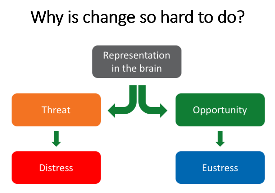 vanweringh's tweet photo. Another great #Leadershipdevelopment session with @DrTimOLeary and @annadabrowski2, looking at leading during times of uncertainty, self-determination theory and immunity to change. So interesting, and so much to think about and explore further. #wespl https://t.co/qQisNfw6J7