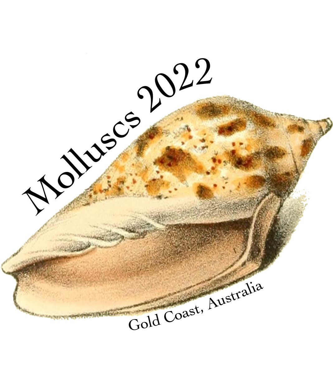 Early-bird registration and abstract submission for Molluscs 2022 close in a fortnight! Make sure you don't miss out....malsocaus.org/?page_id=1197 #Molluscs #MolluscResearch