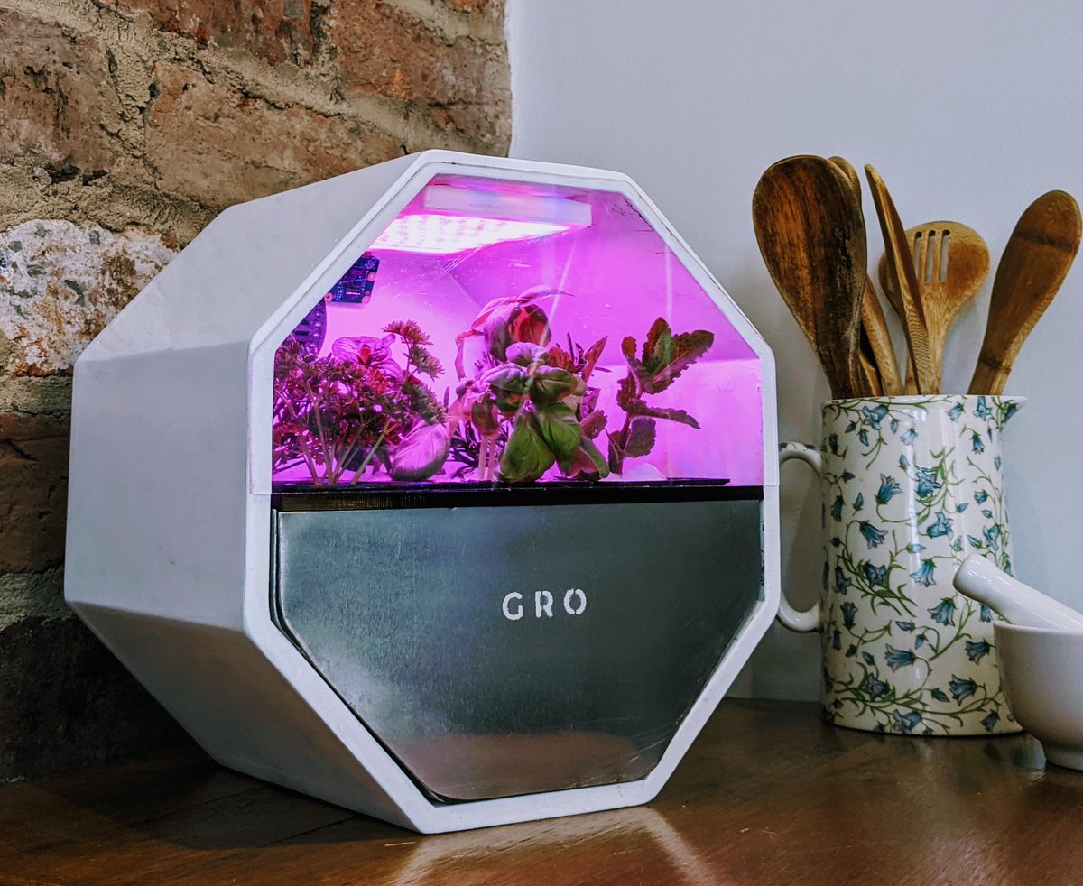 Harry Brenton tweet media