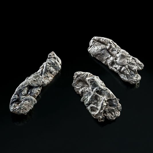 DrNWillburger's tweet photo. 6,000-year-old #ChewingGum! Pieces of birch pitch found in the Late #Neolithic pile dwelling settlement of Hornstaad at the Lake Constance, dating 3917-3909 BC. You can still see the #toothmarks!
Birch pitch was used as a prehistoric glue for attaching... 1/3
#Archaeology https://t.co/5ys5Q61BnL