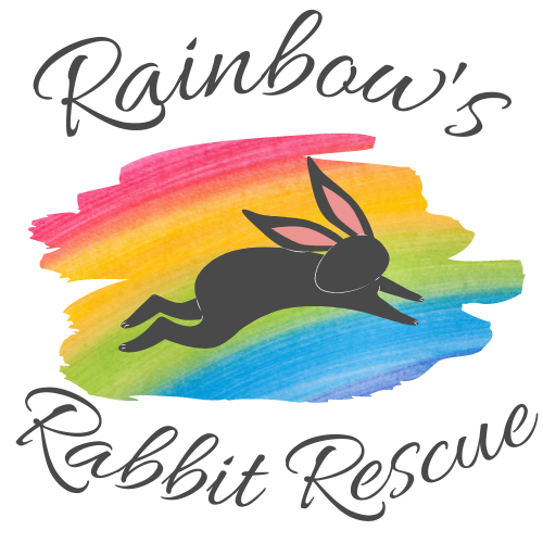 RabbitRetailUK's tweet image. Hopdate to our rescue! 
We were previously known as BunnyLand as we were working with someone else. We have now split and become our own rescue, Rainbow's Rabbit Rescue. We are looking after a total of 15 rabbits - some have found homes forever, some are in foster and some are on