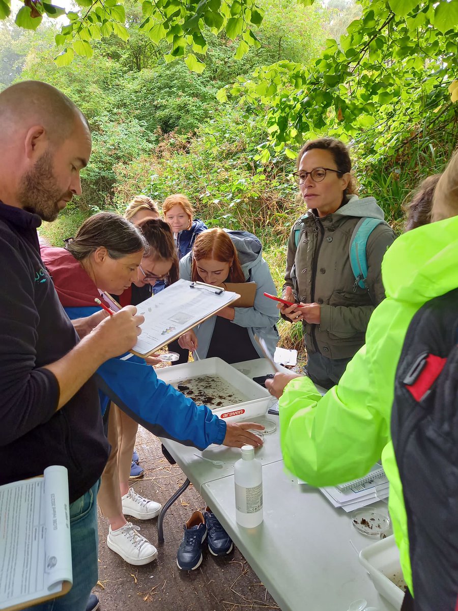 WaterWicklow's tweet photo. Terrific work by @GLOBEIreland training teachers on #CSSI, #WaterQuality and catchment science along the banks of the #DodderRiver at Herbert Park.

Supported by @WatersProgramme https://t.co/knOqOVh9IV